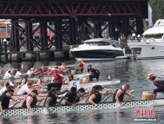悉尼龙舟竞渡庆新春