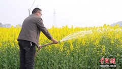 污水变身“营养液” 江西庐山走出乡村治水新路径