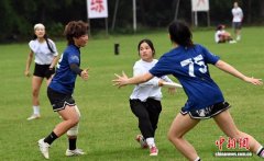 400余名两岸飞盘选手广西梧州同场竞技 共叙同胞情谊