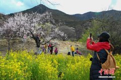 （走进中国乡村）探访西藏嘎拉村：灼灼桃花撬动乡村振兴