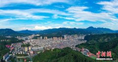福建大田：“智慧林业”织密森林保护网